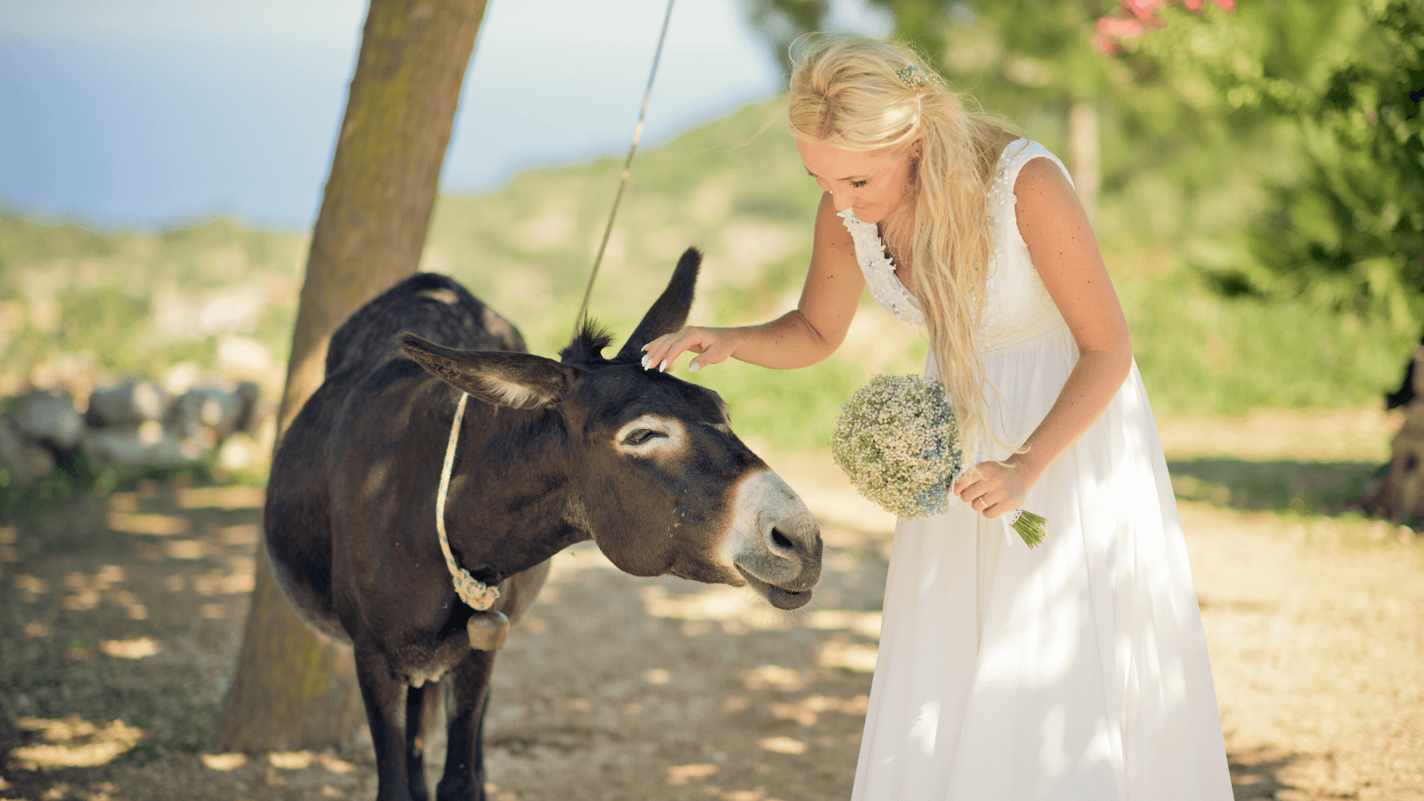 Ślub w Grecji Design Your Wedding
